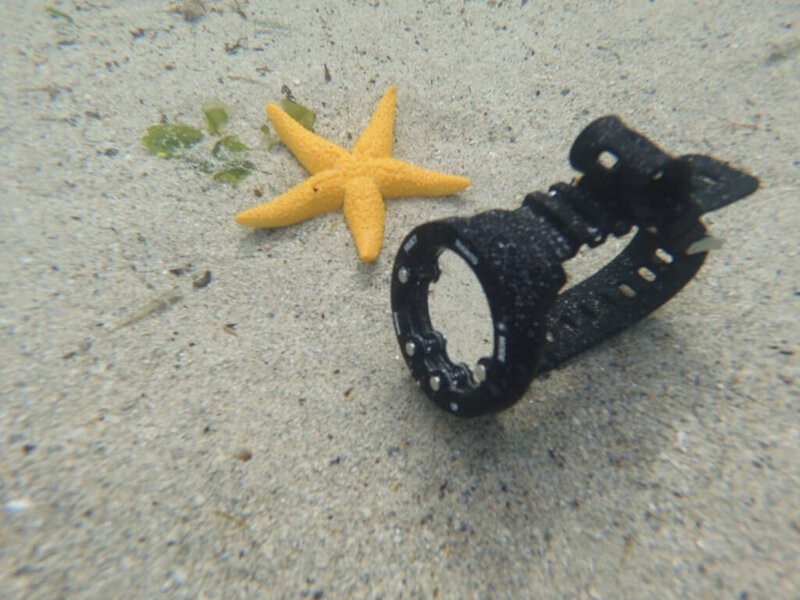 Computadora de buceo Suunto Zoop Novo