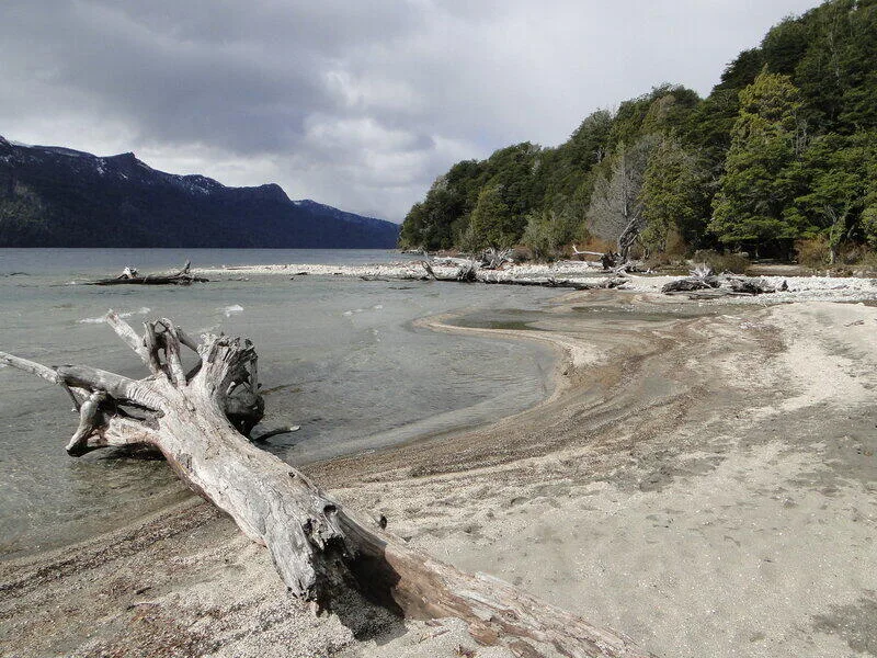 Lago Traful — Bosque Sumergido