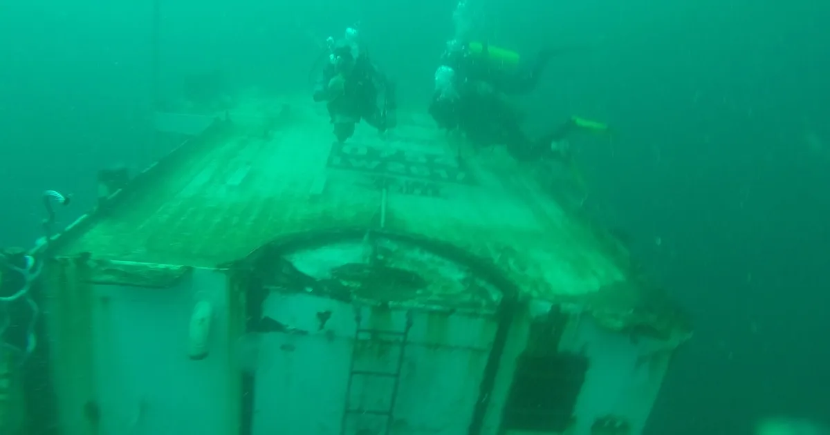 Parque Subacuático Cristo Rey: Mar del Plata construye sus propios arrecifes artificiales